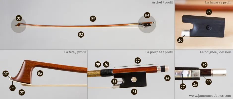 Schéma détaillé de l'anatomie d'un archet de violon, alto et violoncelle